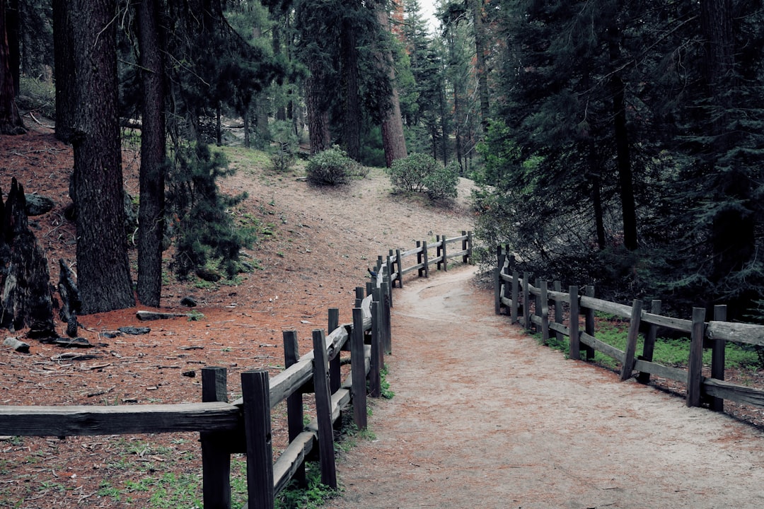 美崙山公園 美崙山公園