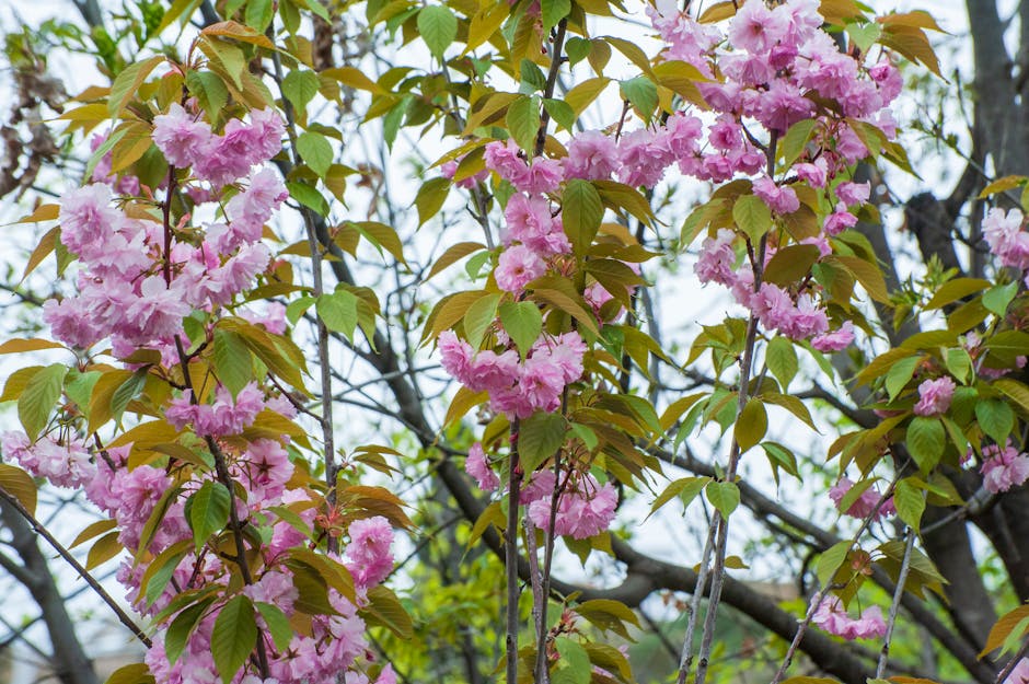 花蓮火車站君家住宿 花蓮火車站君家住宿