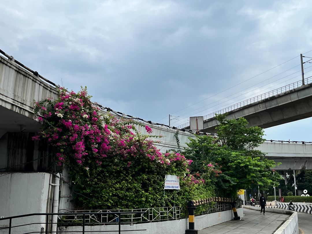 花蓮鐵道文化園區