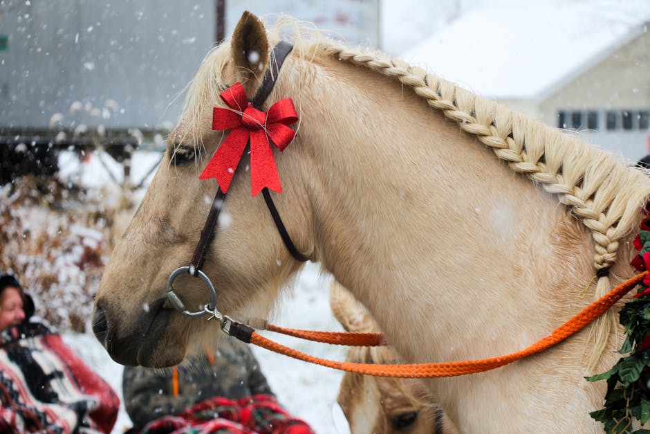 Alarmi stables