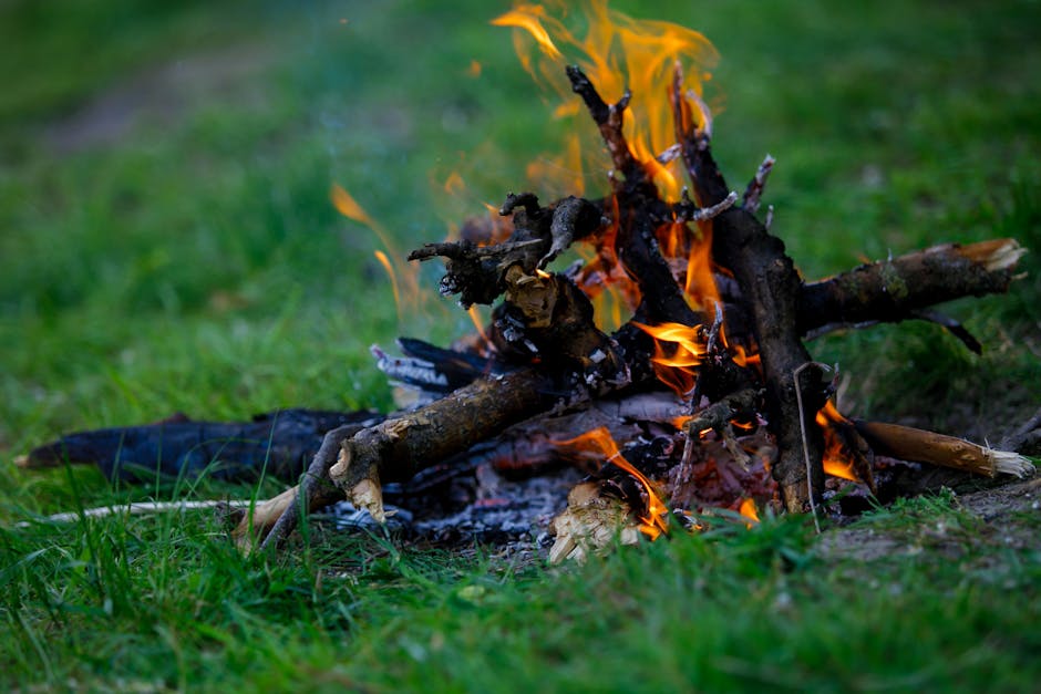 Apianlahti Camping