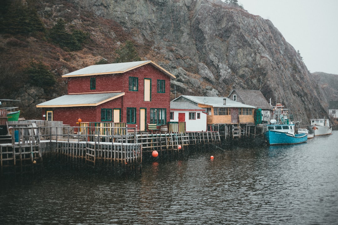 Boardvillage