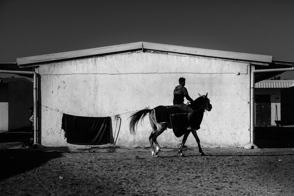 First Stable Oy First Stable Oy