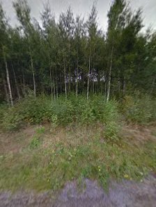 Gerbynmäen kuntoportaat