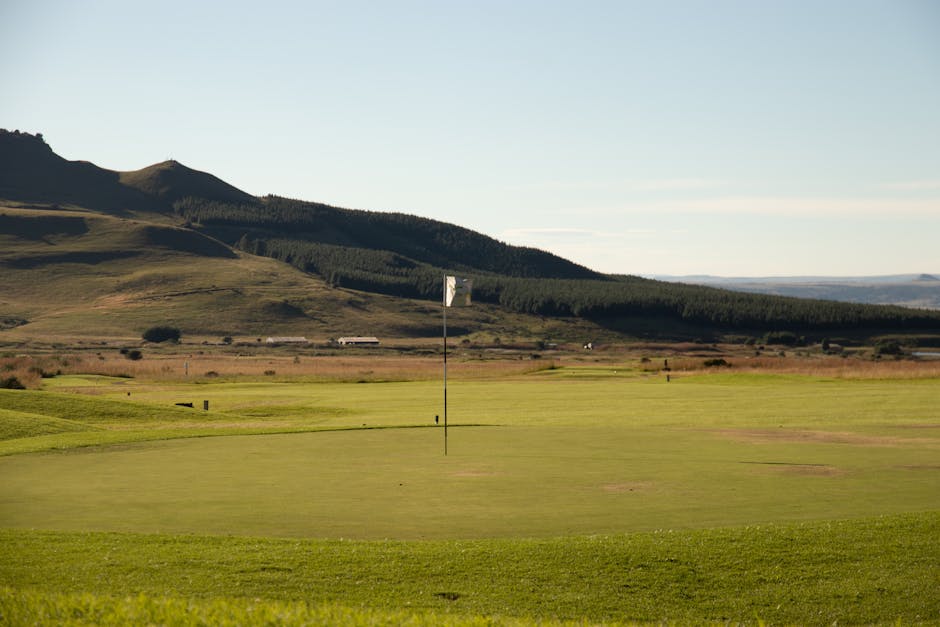 Golf Plus Oy Golf Plus Oy