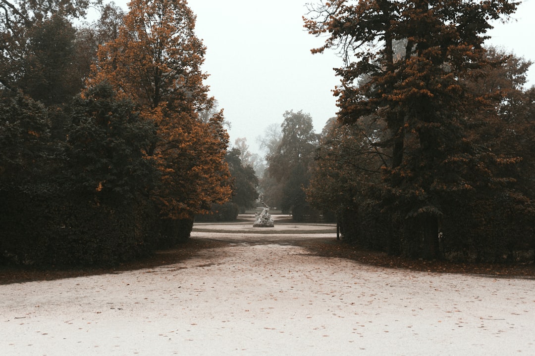 Hakametsän Lämäri Hakametsän Lämäri