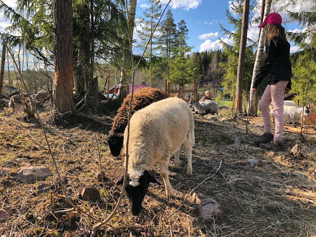 Hetkitalli, kotieläinpiha