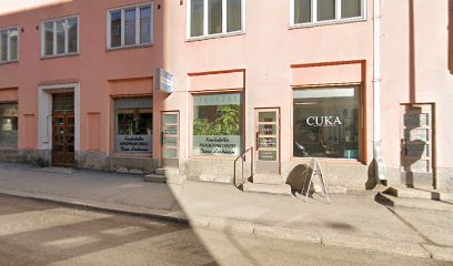 Hiljainen Mieli