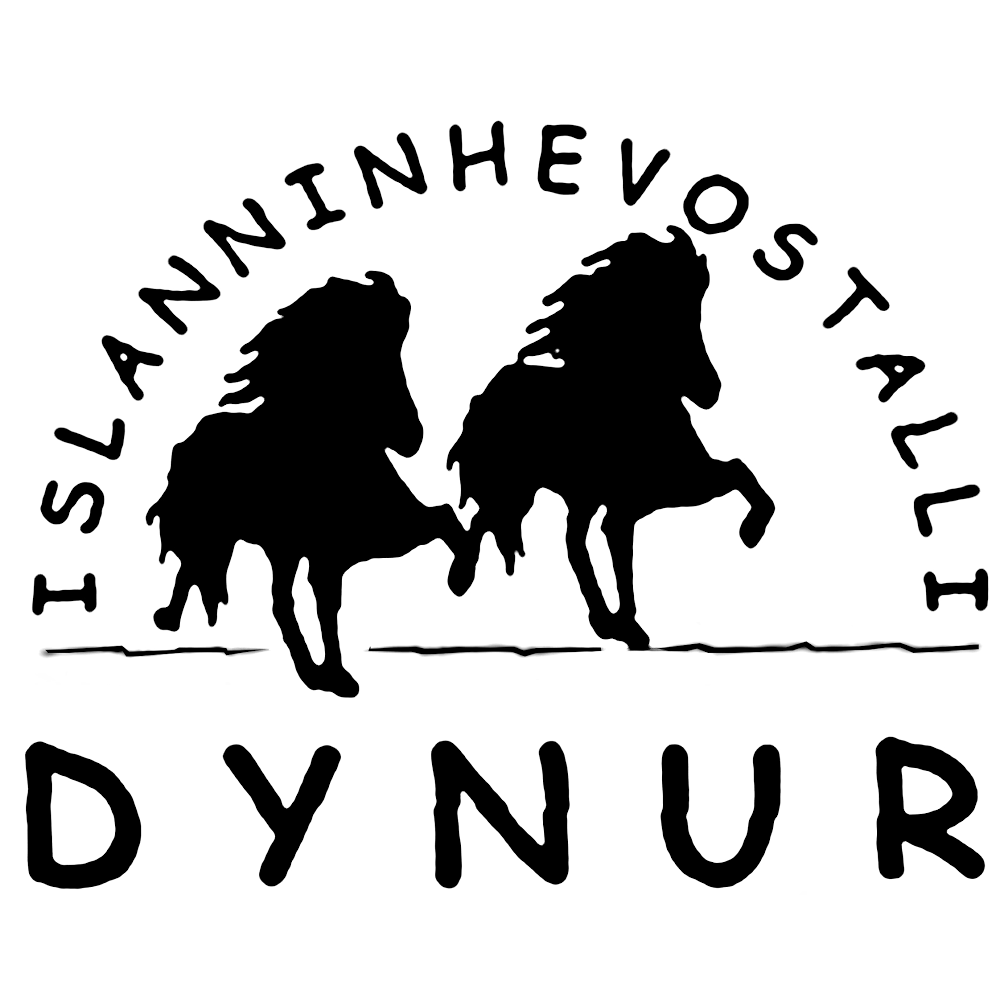 Islanninhevostalli Dynur Islanninhevostalli Dynur