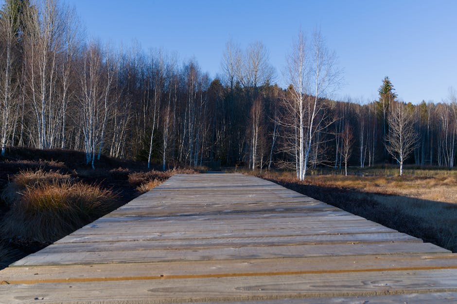 Jaama Trail