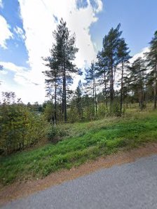 Kamppailuareena Kamppailuareena