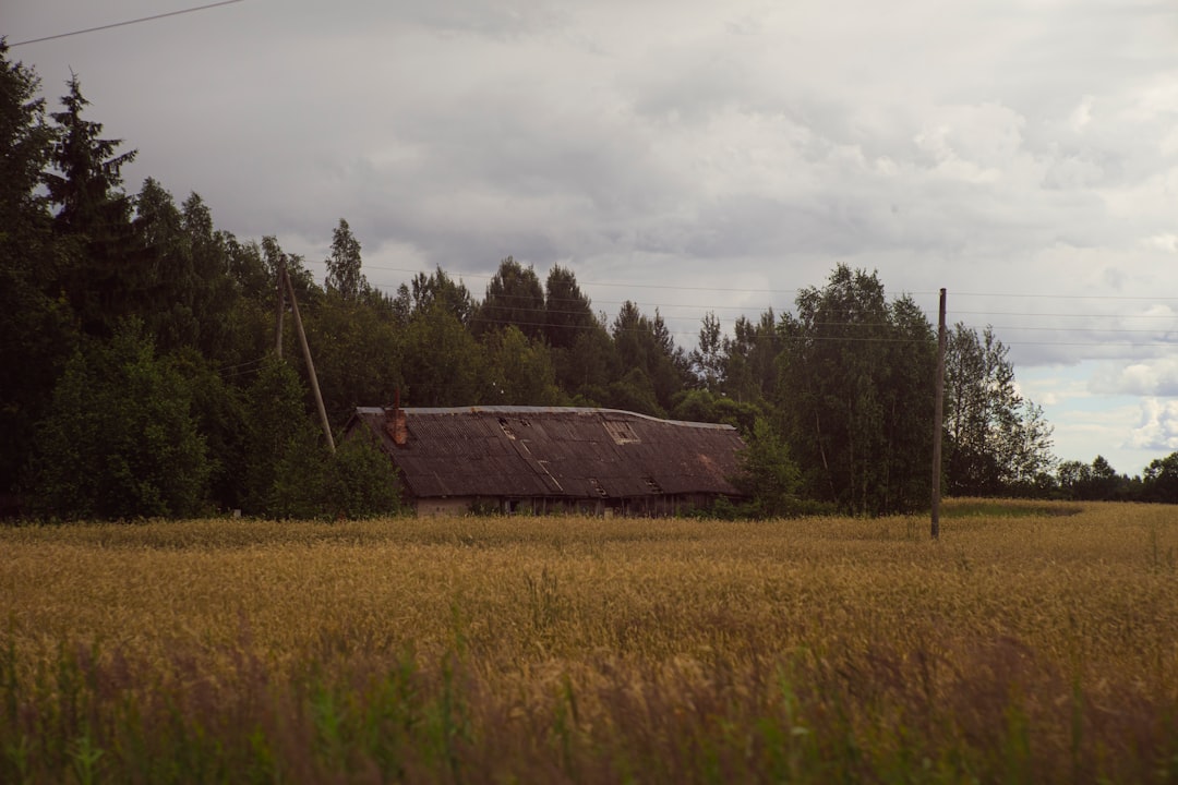 Kannuskylän talli