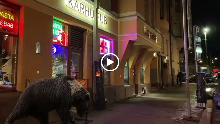 Karhu Pub Karhu Pub