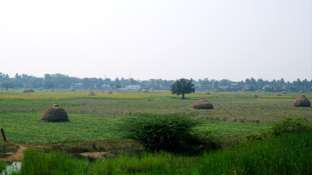 Karhula