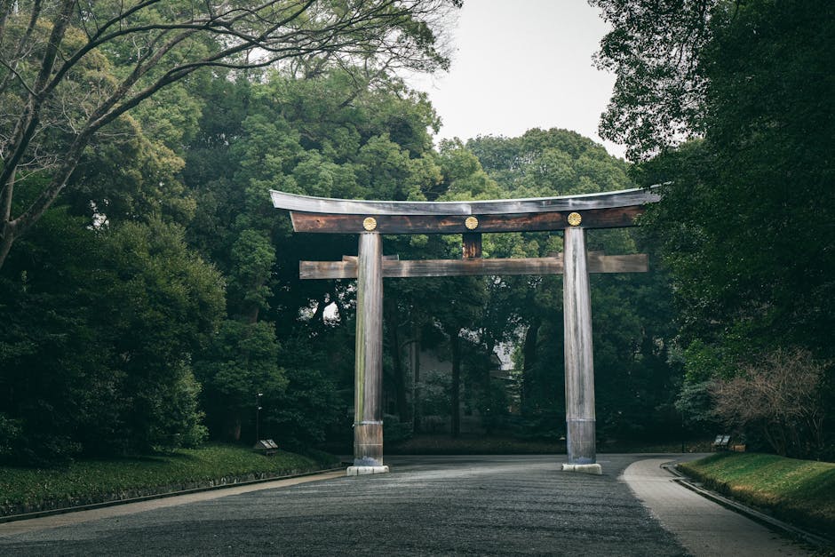 Karhulan tori