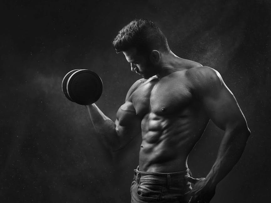 Kemi Gym Oy