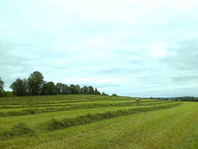 Lahdentauksen talli