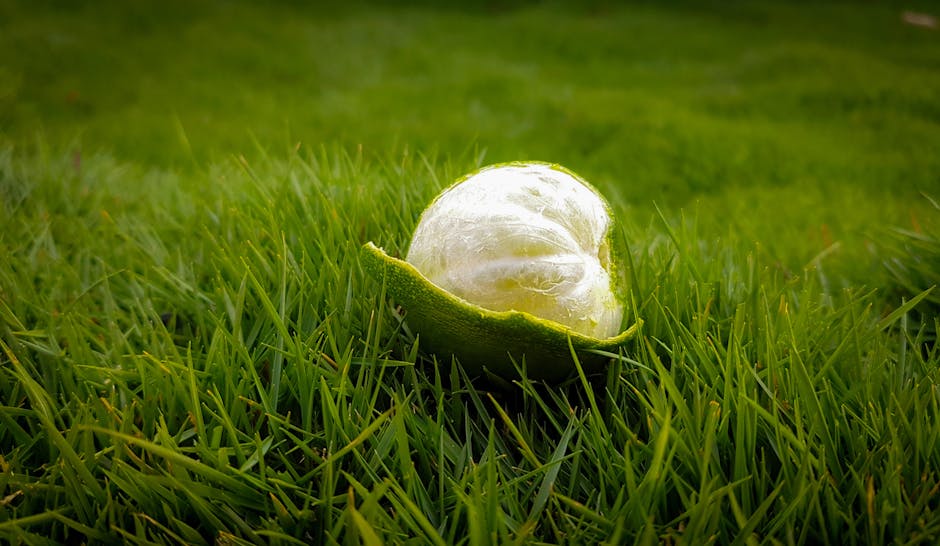 Lemon Grass