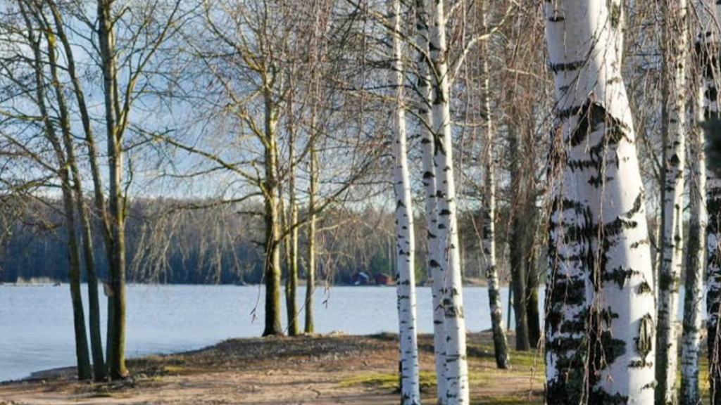 Linnoituksen uimahalli Linnoituksen uimahalli