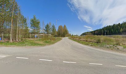 Metsoreitti
