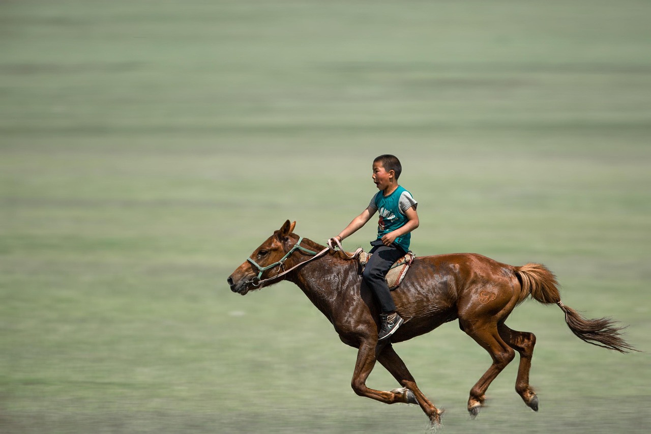 MP Riding Center MP Riding Center