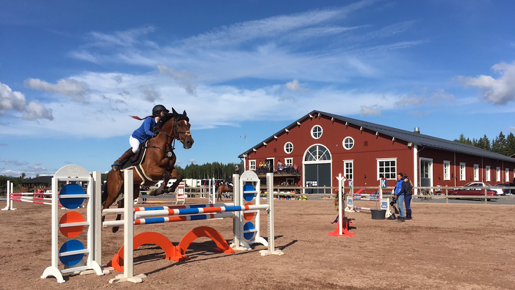 Myh Horses Oy Myh Horses Oy