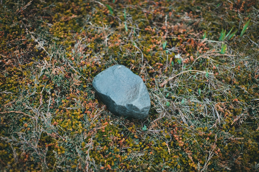 Oittaa Kalliometsä frisbeegolfrata