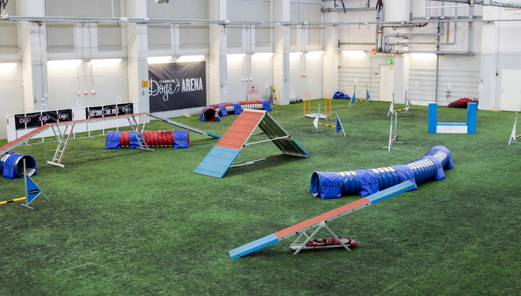 OneMind Dogs Arena