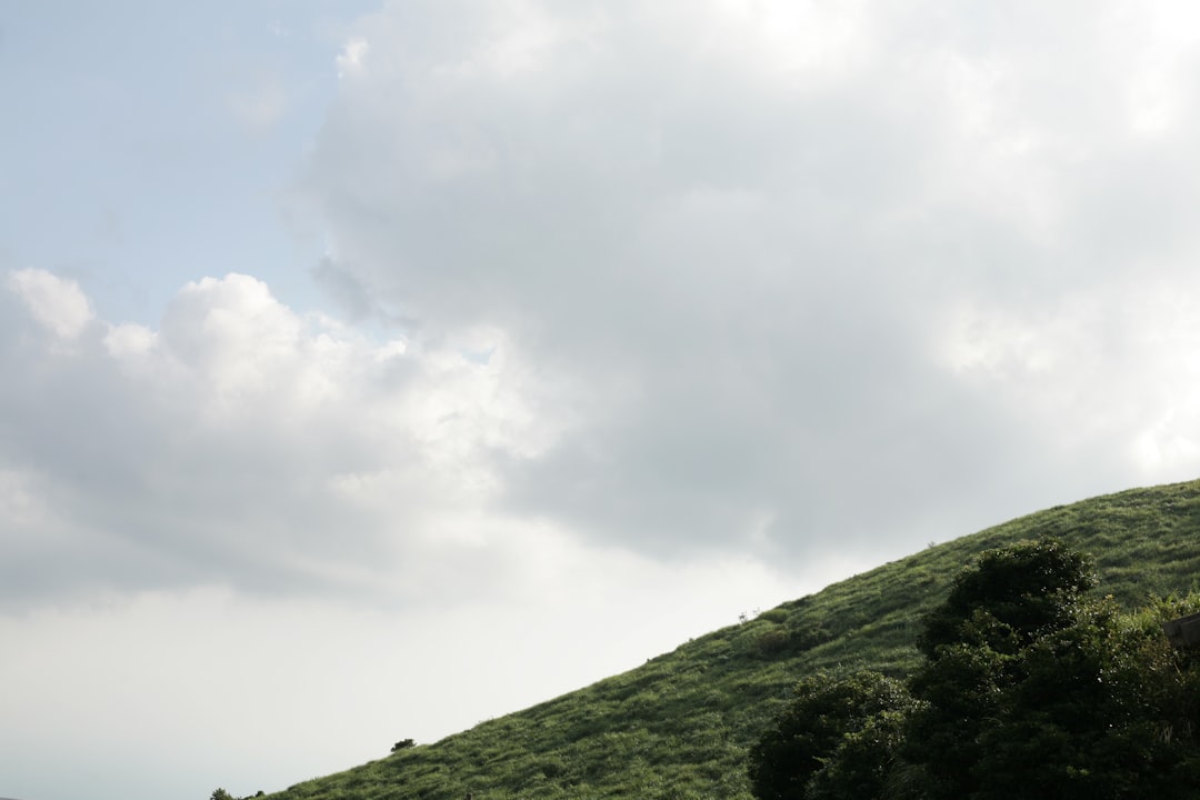 Otahalli