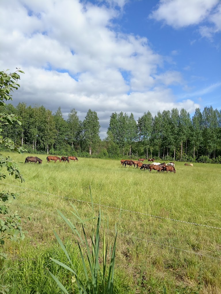 Palomäen Talli Palomäen Talli