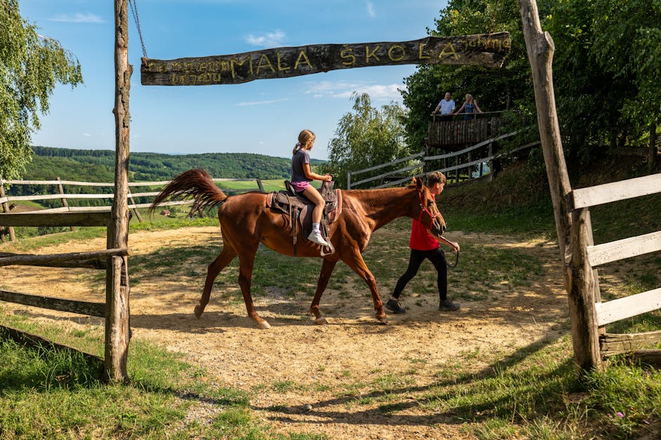 Peuramaa Horse