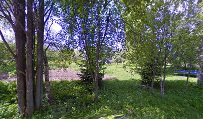 Ratsastuskoulu Sarin Talli