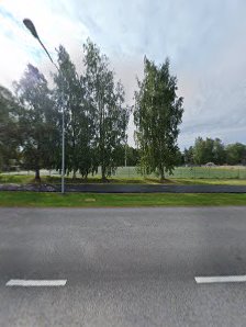 Raumanmeren tekonurmi