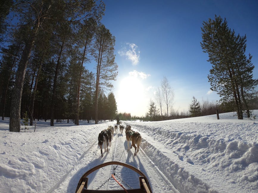 Rovaniemi Rovaniemi