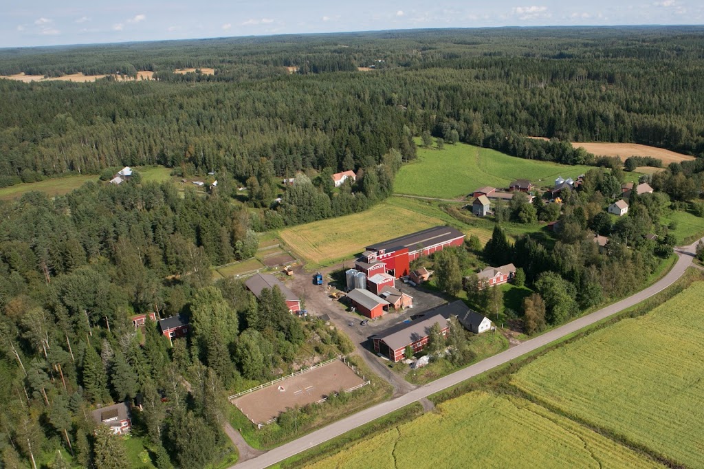 Rähin tila Rähin tila