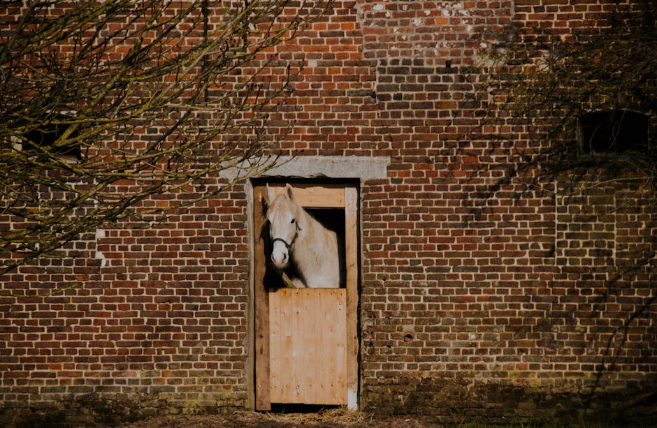 Råbacka Stall / Talli / Stables Råbacka Stall / Talli / Stables