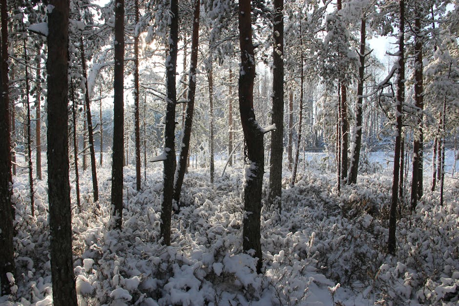 Seinäjoki