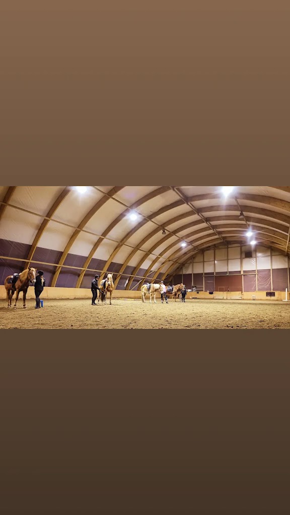 Sk stable