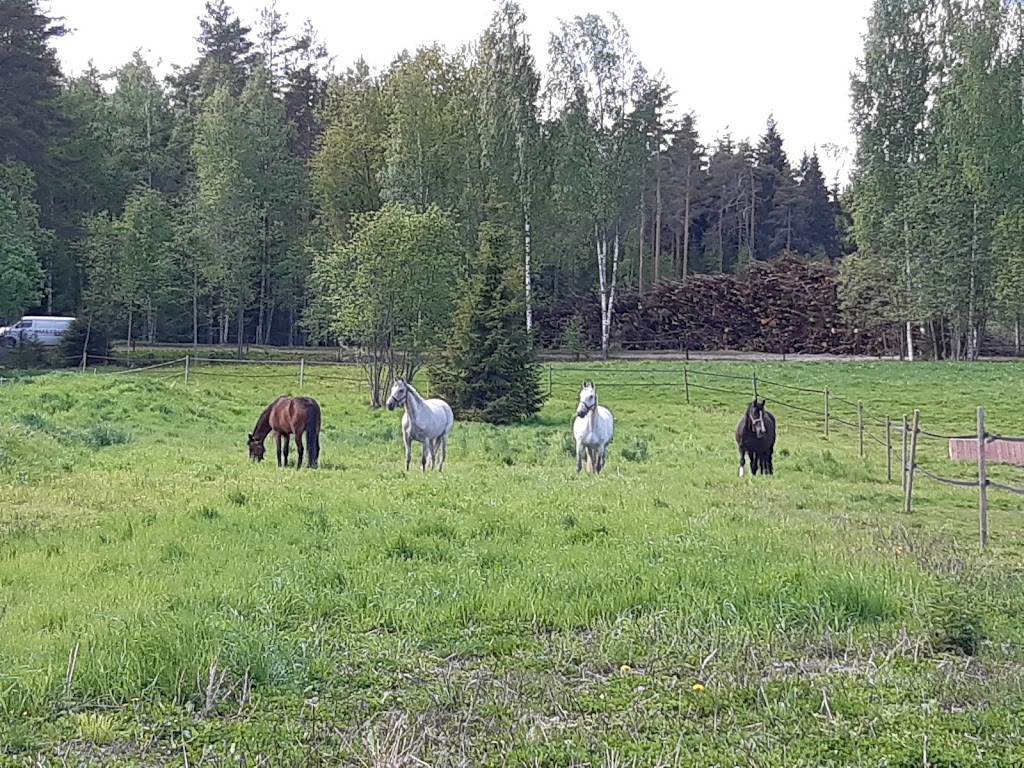 Stall Sandbacken Oy