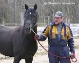 Stenlidin Hevostila