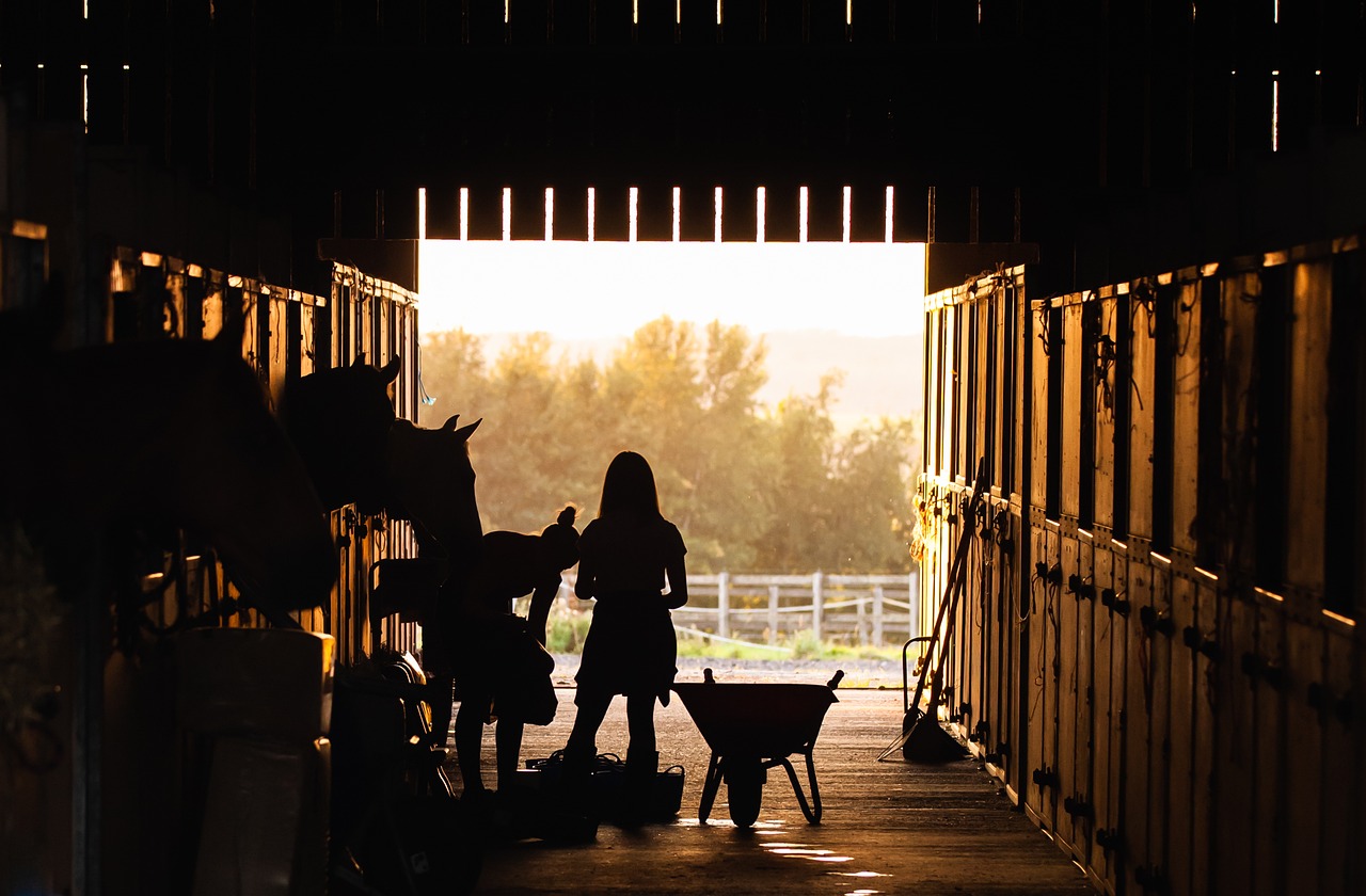 Storgård Stable Services Storgård Stable Services