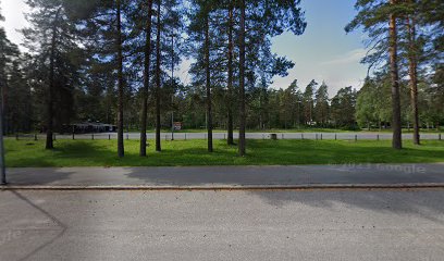 Sveitsin pesäpallokenttä