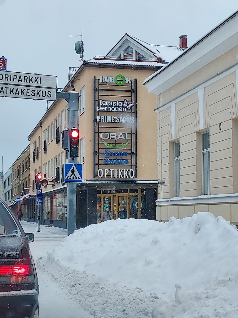 Terapiaperhonen Mikkeli