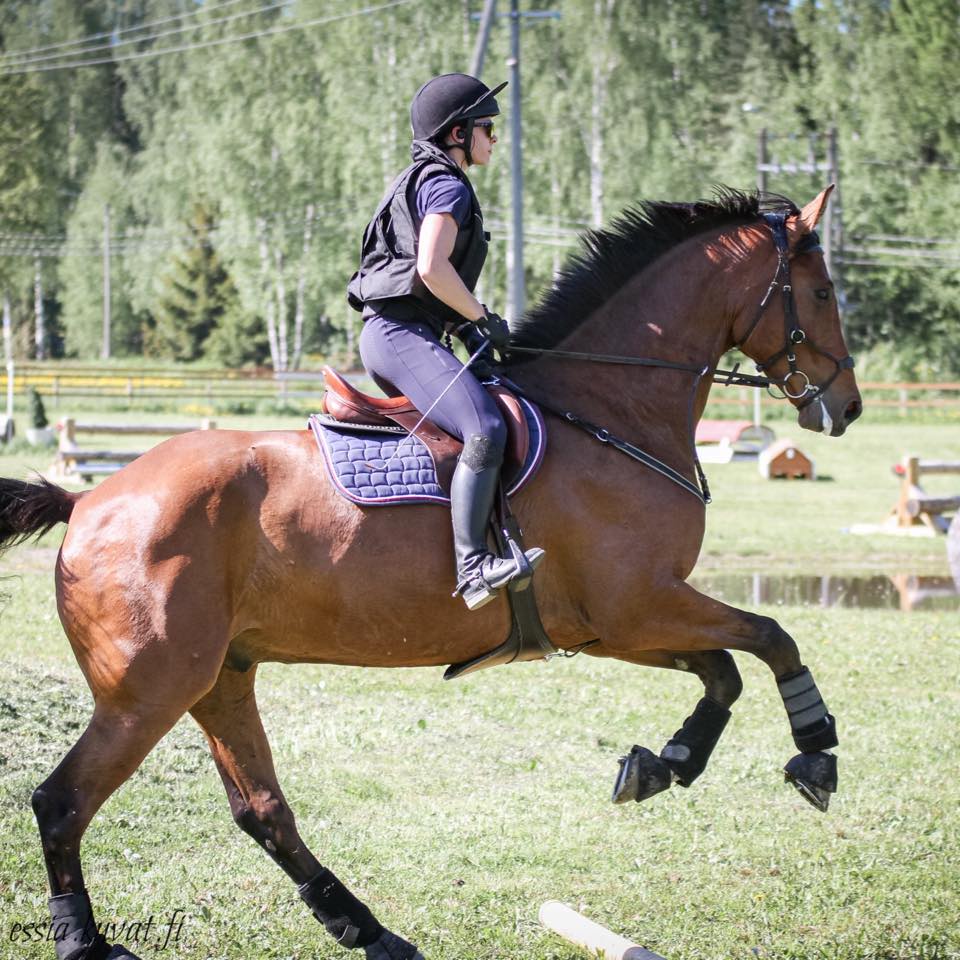 Toivolan Talli Oy
