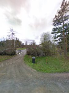 Tuomarlan tila, Taikaponit 11224