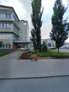 Turun Naisvoimistelijat