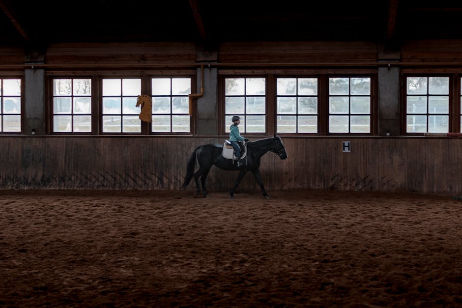 Vihti Dressage Center Oy Vihti Dressage Center Oy