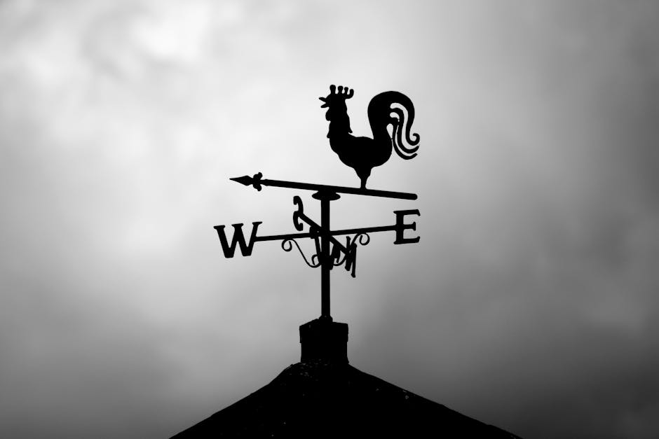 West Wind Ranch Oy West Wind Ranch Oy