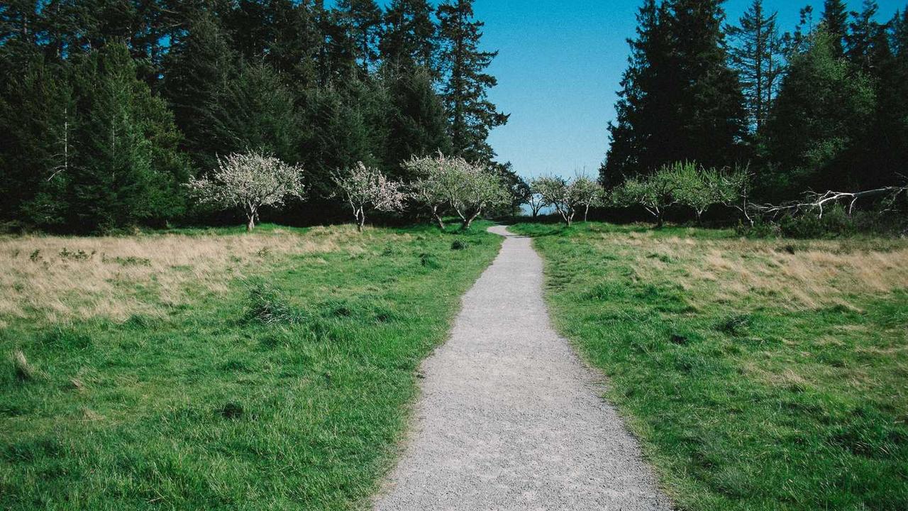 Avondwinkel Avondhapje Beverwijk Avondwinkel Avondhapje Beverwijk