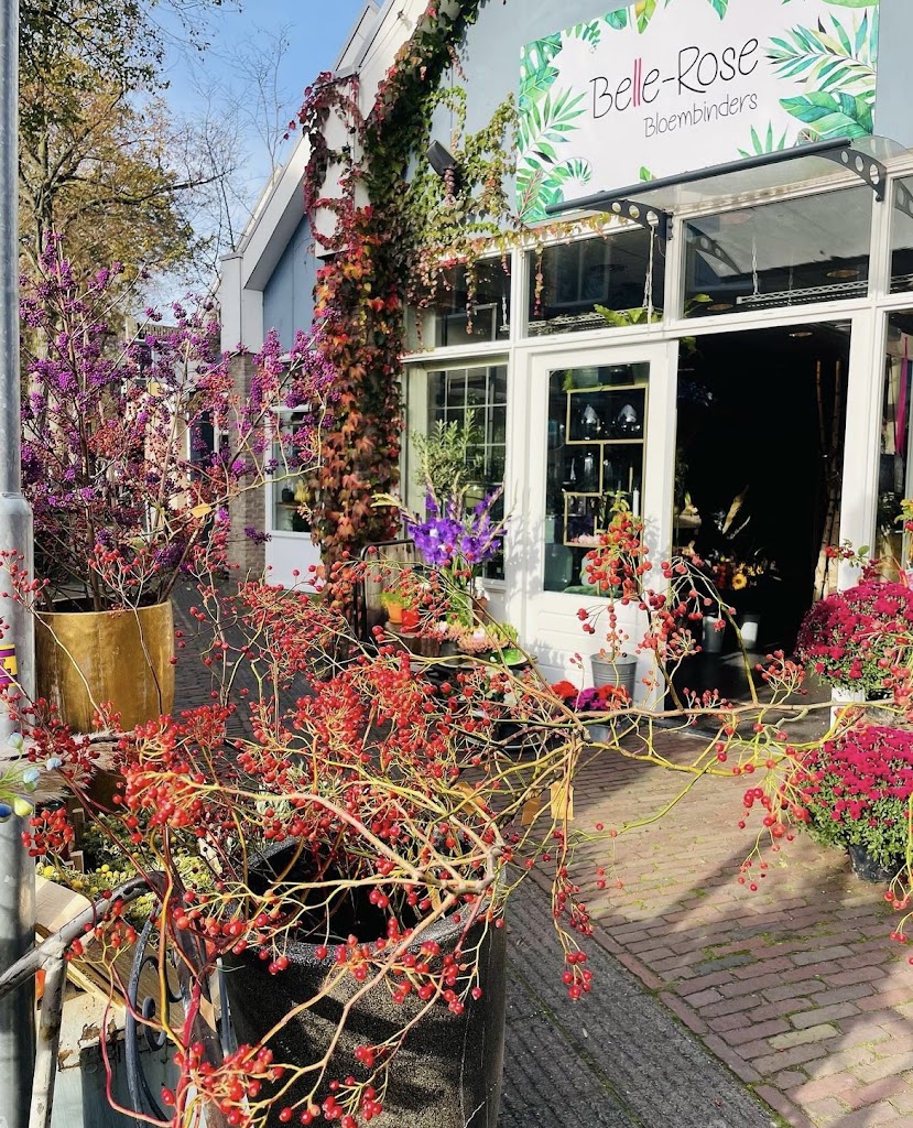 Belle-Rose Oisterwijk